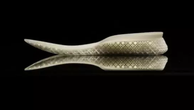 泉州開發出全國第一雙可以穿的3D打印鞋子 Sirod